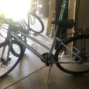 2020 Trek FX2 women’s disc stagger Silver, gray or bare metal