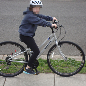 2018 Trek Verve 3 Silver, gray or bare metal