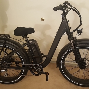 2020 Rad Power Bikes RadRover Step-Thru 1 Black