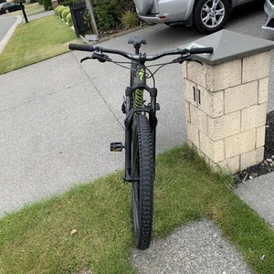 2020 Specialized Green
