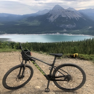 2019 Trek Trek Marlin 6 Black