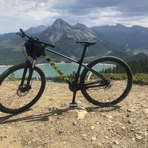 2019 Trek Trek Marlin 6 Black
