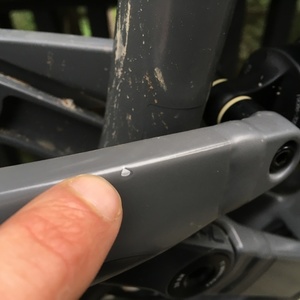 2019 YT Capra AL Comp Silver, gray or bare metal