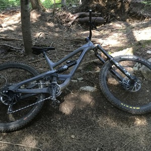2019 YT Capra AL Comp Silver, gray or bare metal