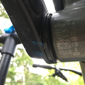 2019 YT Capra AL Comp Silver, gray or bare metal