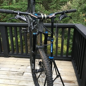 2019 YT Capra AL Comp Silver, gray or bare metal
