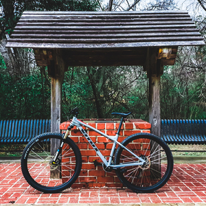 2020 Vitus Nucleus 290VR Silver, gray or bare metal