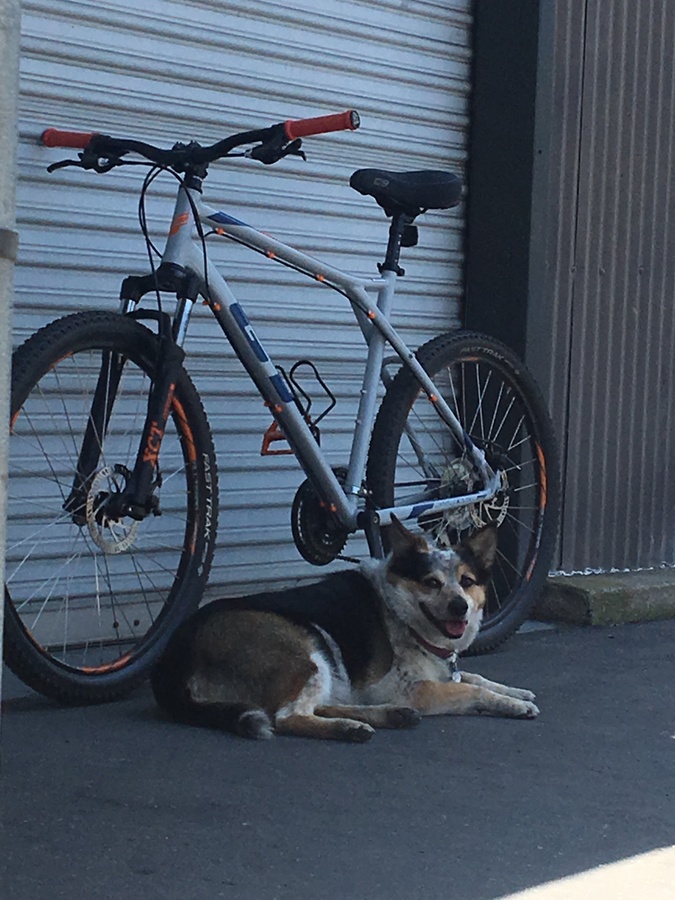 Bike photo