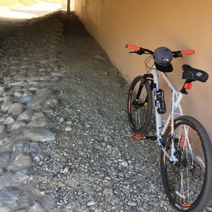 2020 GT Bicycles Aggressor pro Silver, gray or bare metal, Blue, and Orange