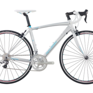 Raleigh 700 Silver, gray or bare metal