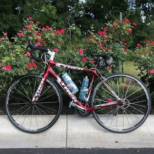 2011 Trek Madone 3.1 Red and White