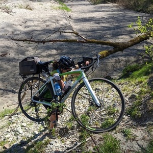 2017 Raleigh Revere 2 White and Green