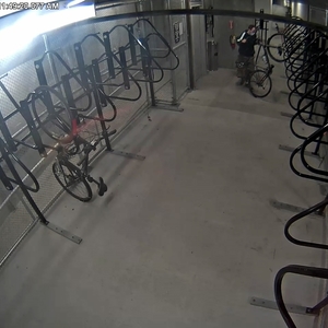 2015 Specialized Sirrus Elite Carbon Silver, gray or bare metal