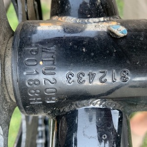 Trek Cruiser Classic Black