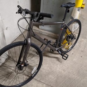 2020 Salsa Journeyman Flatbar Silver, gray or bare metal