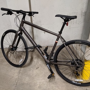 2020 Salsa Journeyman Flatbar Silver, gray or bare metal