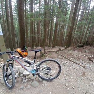 2014 Rocky Mountain Bicycles Altitude 750 Silver, gray or bare metal