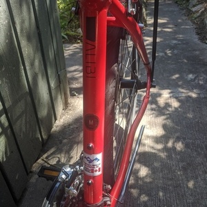 Specialized Alibi Red