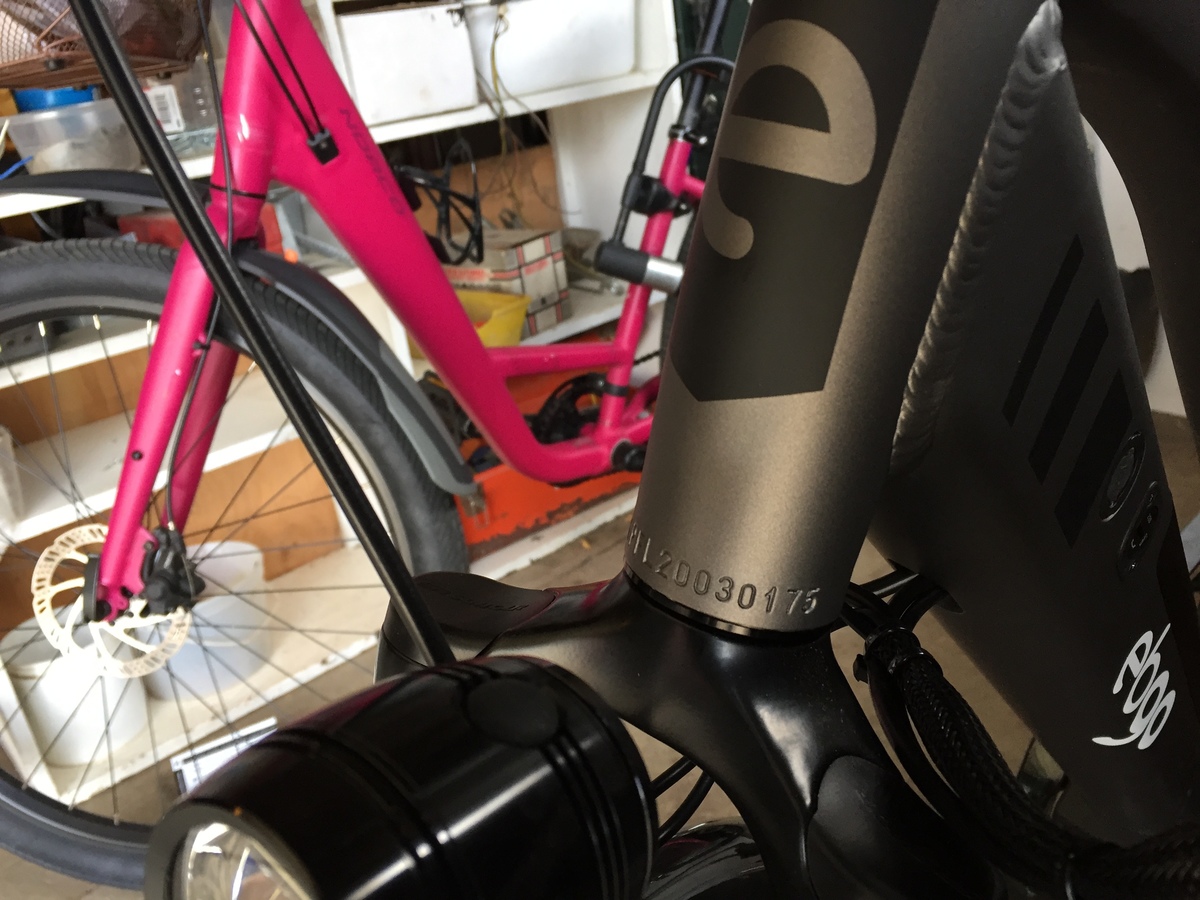 2020 EBGO Company (Montreal) Electric Bike (ebike)