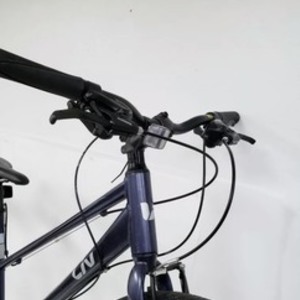 2016 Giant Alight 3 Purple