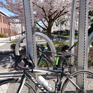 2012 SCOTT 550 Speedster Black and White