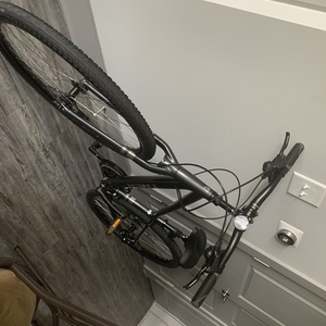 2020 Trek Verve 2 Silver, gray or bare metal