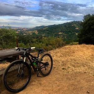 2014 Specialized Camber Comp 29 Silver, gray or bare metal