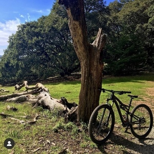 2014 Specialized Camber Comp 29 Silver, gray or bare metal