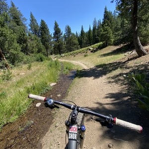 2014 Specialized Camber Comp 29 Silver, gray or bare metal