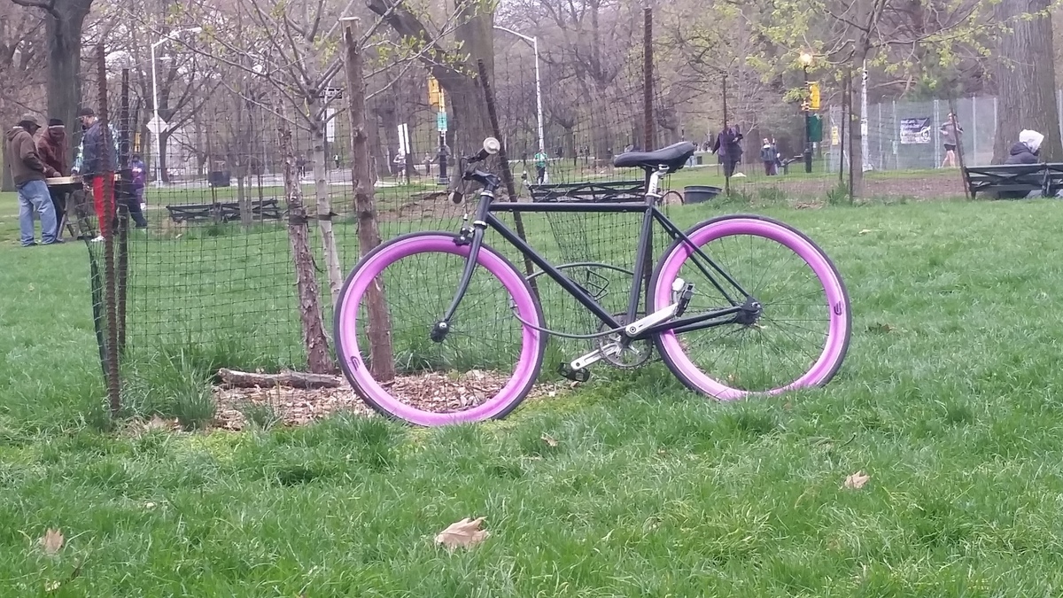 Bike photo