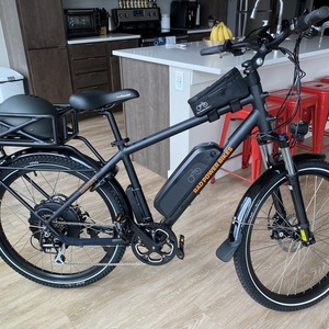 2019 Rad Power Bikes RadCity 4 Black