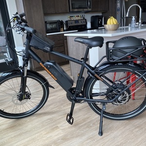 2019 Rad Power Bikes RadCity 4 Black