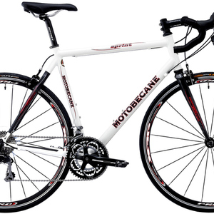 2014 Motobecane Sprint White