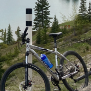 2008 Specialized Rockhopper Disc Silver, gray or bare metal