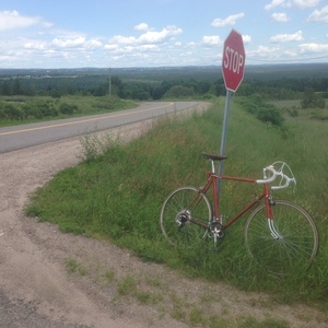 2015 Raleigh Men's road bicycle Red