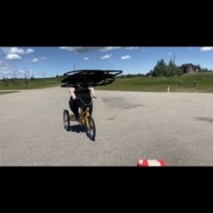 2020 Belize tricycle Yellow or Gold