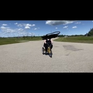 2020 Belize tricycle Yellow or Gold