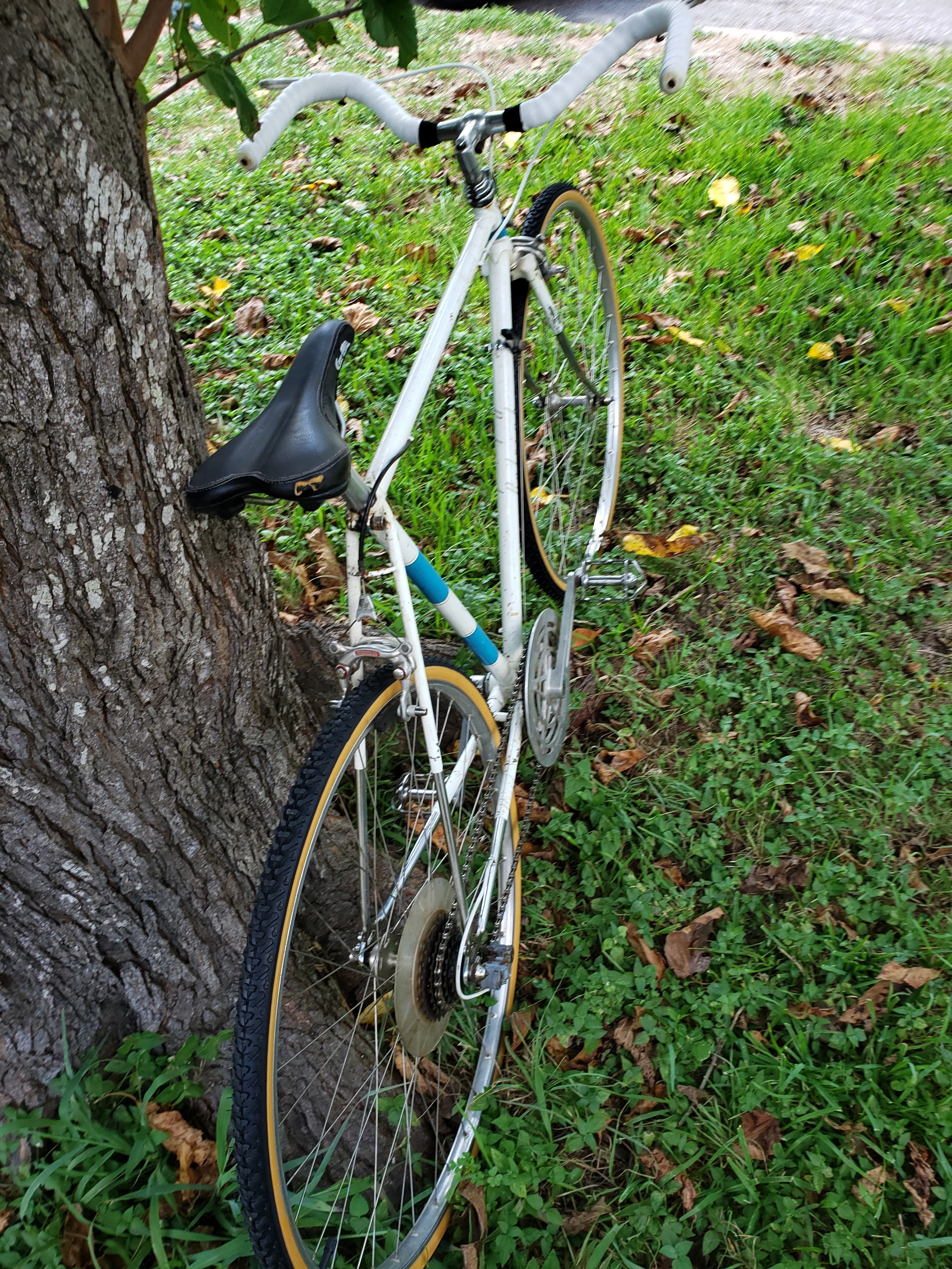 1973 Raleigh Grand Sports