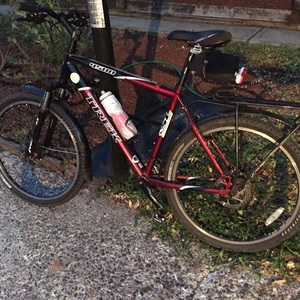 Trek 4500 (Disc) Red