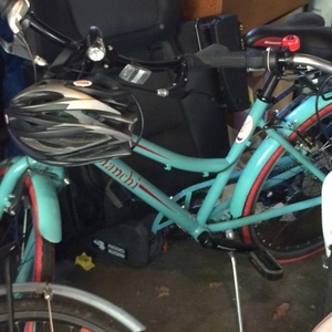 2004 Bianchi Milano Green
