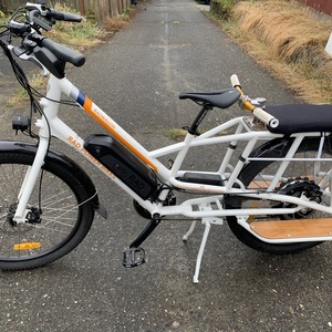 2018 Rad Power Bikes Rad Power Wagon White