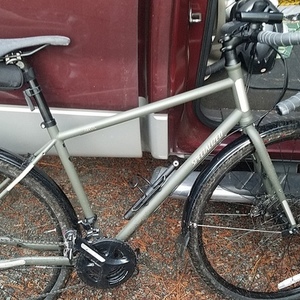 2018 Specialized Green
