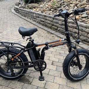2019 Rad Power Bikes mini Black