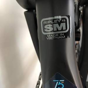 2020 Ibis Ripley Black