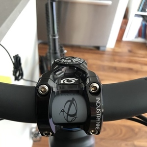 2020 Ibis Ripley Black