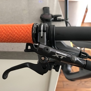 2020 Ibis Ripley Black