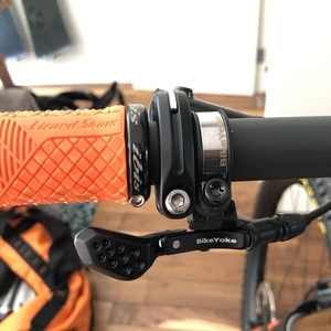 2020 Ibis Ripley Black