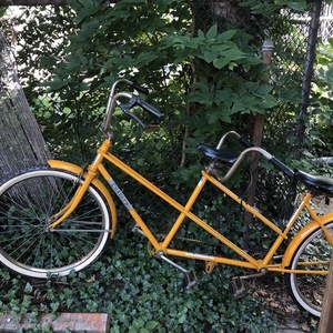 2020 Charge Unknown Yellow or Gold