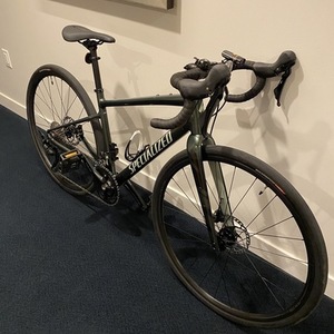 2020 Specialized Diverge E5 Elite Green