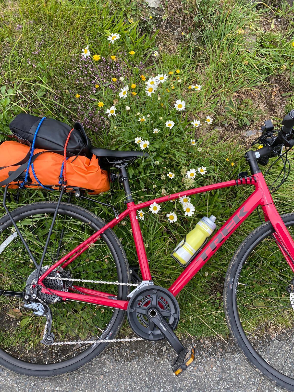throwback dolphins jersey